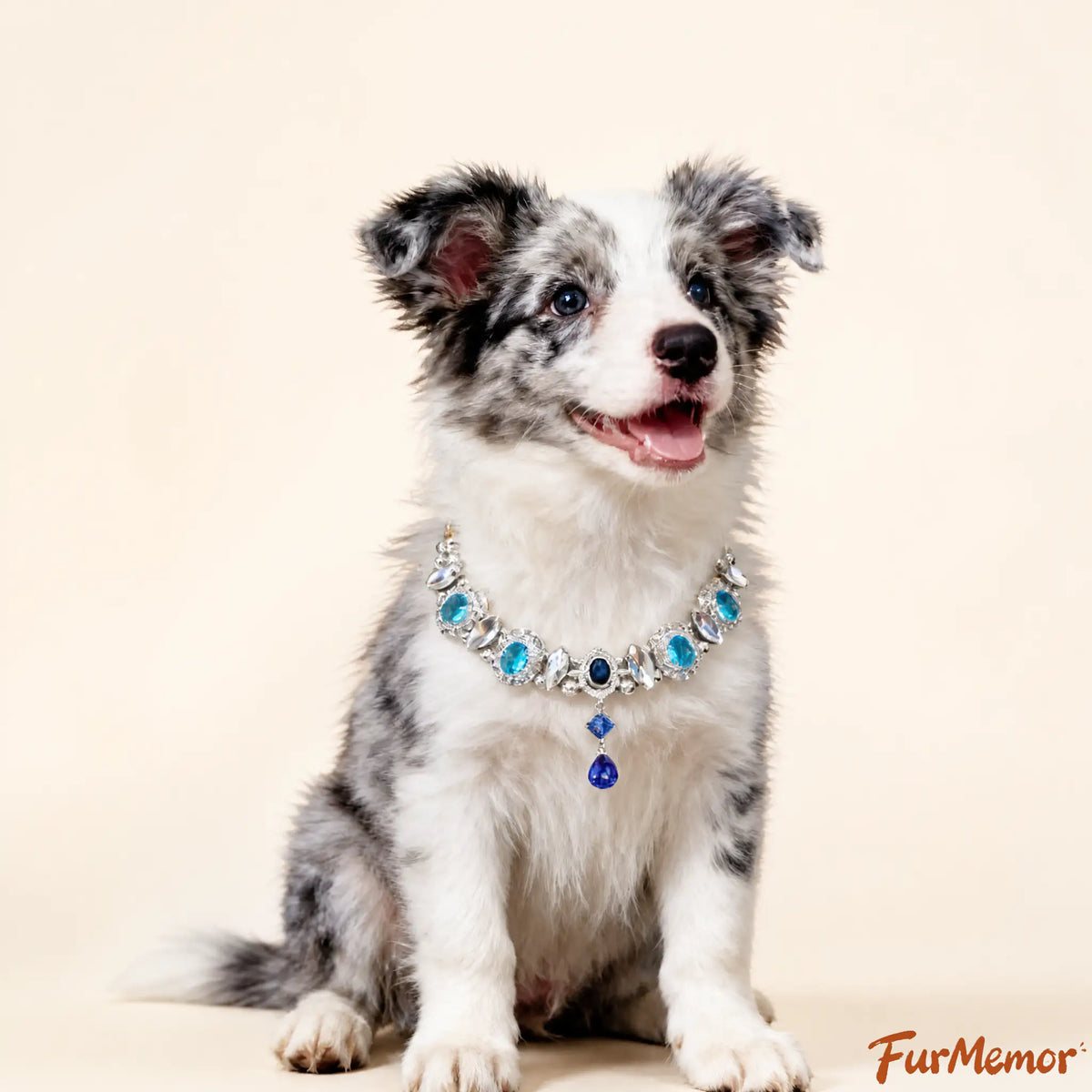 Blue zircon pet collar with crystal embellishments