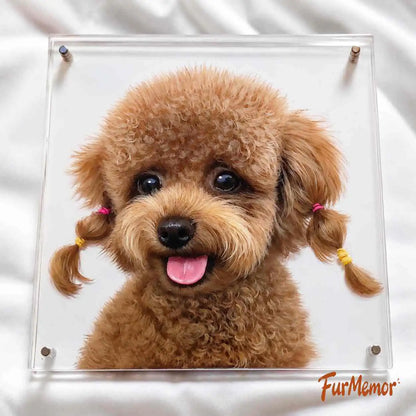 Custom 3D dog portrait displayed in a multilayer acrylic frame