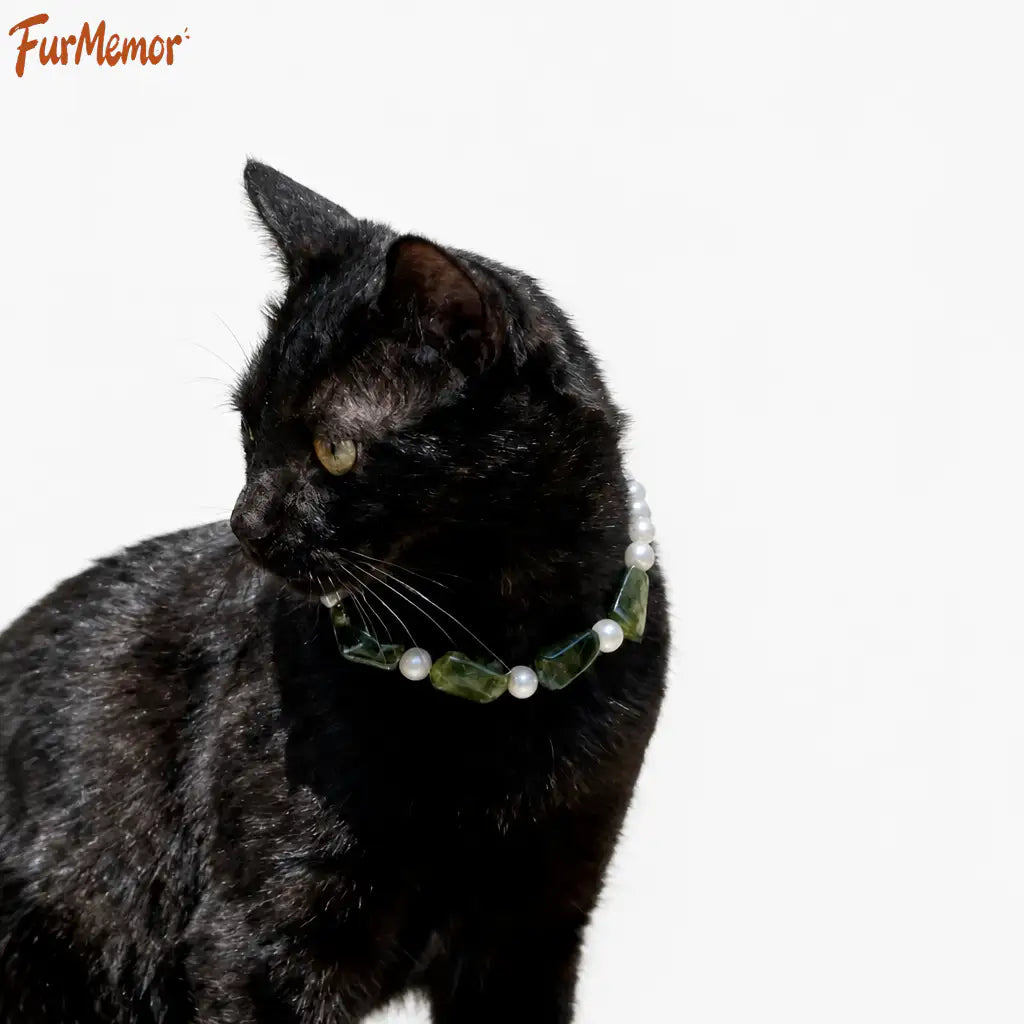 Handmade decorative collar styled for dogs
