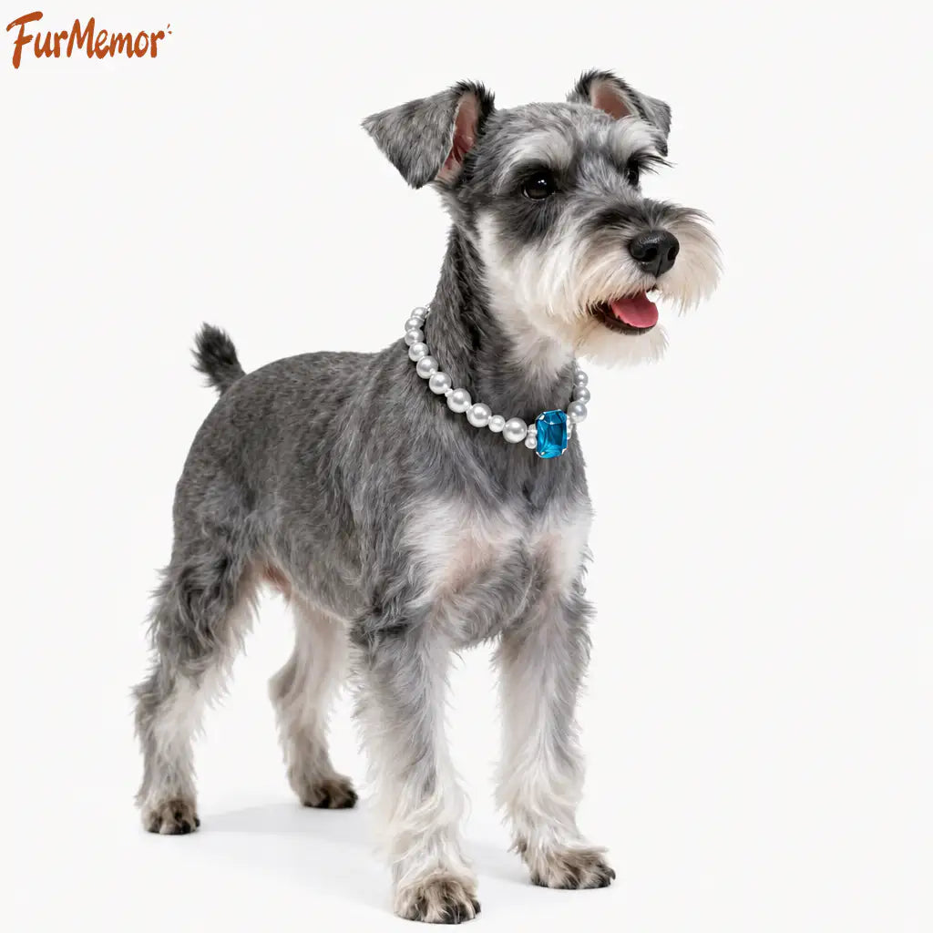 Elegant pearl collar designed for cats