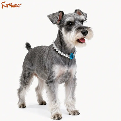 Elegant pearl collar designed for cats