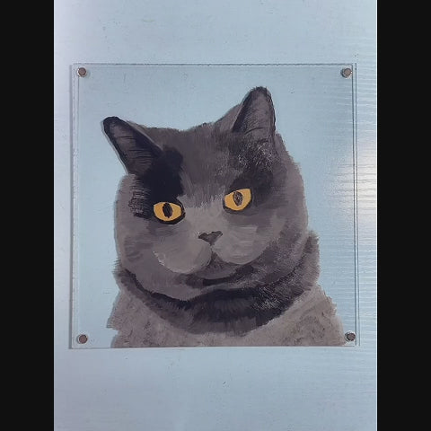 pet-memorial-acrylic-shadow-box