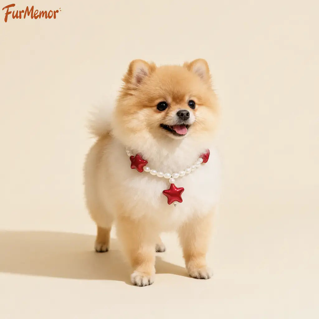Red star pet collar chain for dogs and cats