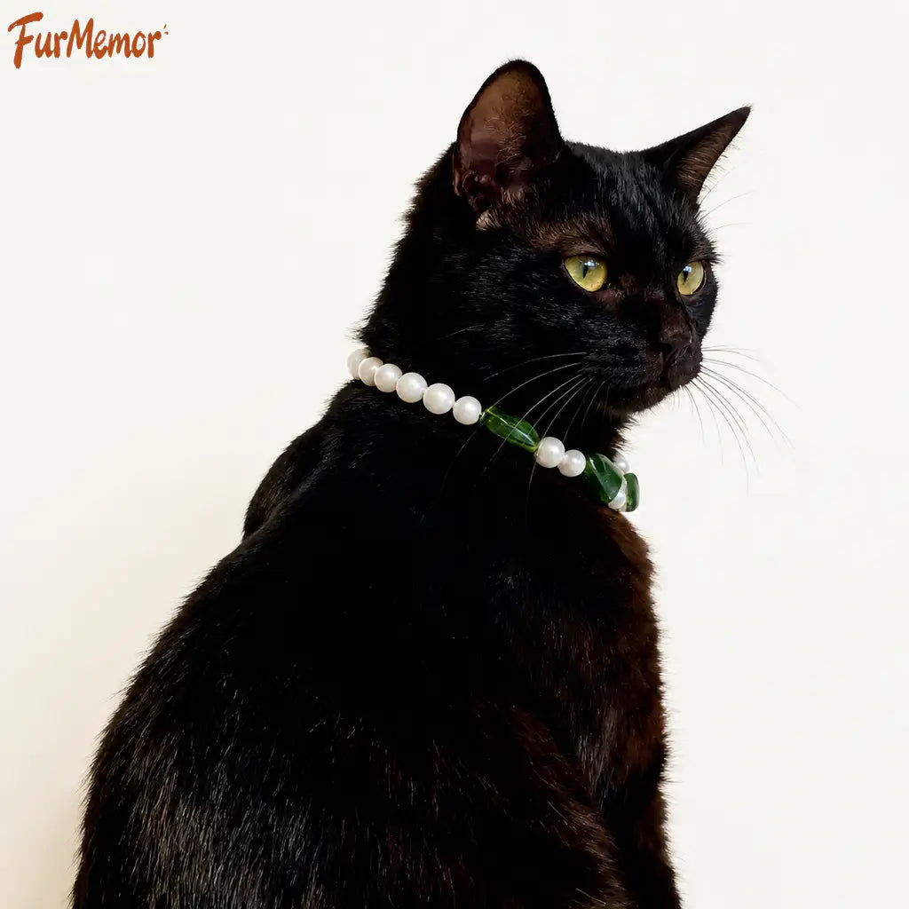 Sweet handmade charm collar for cats and dogs
