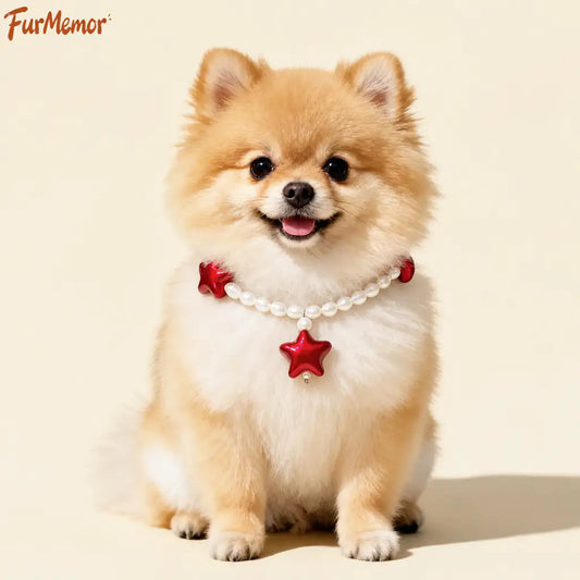 Wine red star pet necklace with pearl and crystal details